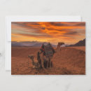 Search for camel desert cards Sunset