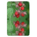 Search for raspberry magnets Red