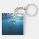 Search for dolphin key rings Underwater