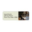 Search for kitties return address labels Kitty