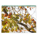Search for favourite calendars Animals