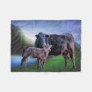 Search for black cow blankets Cattle
