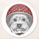 Search for yorkshire coasters Cute
