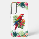 Search for shell parrot Colourful