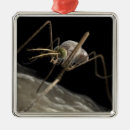 Search for biting christmas tree decorations Animal