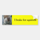 Search for squirrel bumper stickers Driving