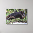 Search for apes canvas prints Jungle