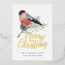 Search for vintage bird christmas cards Traditional