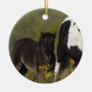 Search for miniature horse christmas tree decorations Mare foal