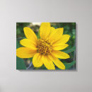 Search for sunshine canvas prints Nature