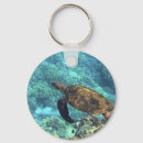 Search for turtle key rings Sea