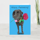 Search for labrador cards Dog