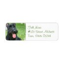 Search for scottish terrier return address labels Puppy