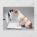 Search for laptops postcards Humour