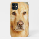Search for pet sitting electronics Cute