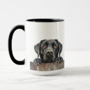 Search for labrador retriever memorial Cute