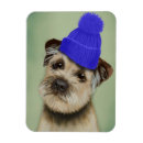 Search for border terriers magnets Animals