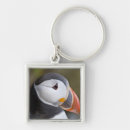 Search for puffin key rings Animal