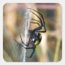 Search for scary arachnid stickers Insect
