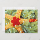 Search for sea star cards Sealife