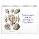 Search for forms office supplies Haeckel