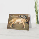 Search for sofa cards Canine