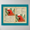 Search for parrot design posters Vintage