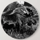 Search for alaska round badges Moose