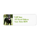 Search for doberman dog return address labels Pinscher