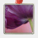 Search for blossom christmas tree decorations Dutch