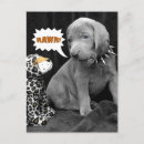 Search for rawr postcards Cute