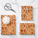 Search for giraffe wrapping paper Trendy