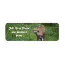 Search for meadow return address labels Summer
