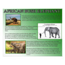 Search for elephant photos posters Animals