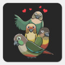 Search for green cheek stickers Green cheeked conure