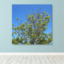 Search for ash posters Tree of life