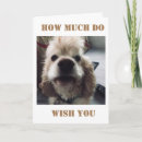 Search for how much cards Girlfriend