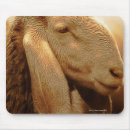 Search for long mouse mats Animal