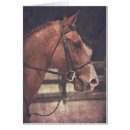 Search for in tack postcards Equine