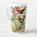 Search for vintage hummingbird mugs Kunstformen der natur