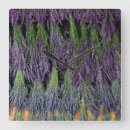 Search for herb clocks Purple
