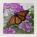 Search for monarch butterfly puzzles Orange
