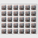Search for skyline wrapping paper Travel