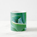 Search for succulents mugs Southwest