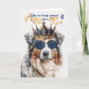 Search for australian shepherd birthday cards Pets