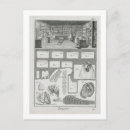 Search for material postcards French