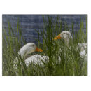 Search for duck chopping boards Wildlife