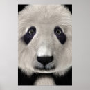 Search for panda print posters Black