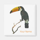 Search for toucans magnets Souvenir