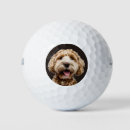 Search for dog golf balls Pet